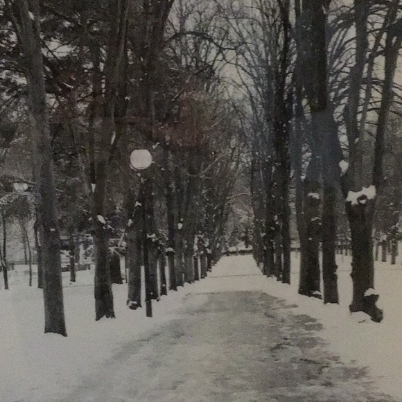 Pottery Barn “Christmas in Paris” framed print - Picture 2 of 4